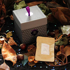 potion magique box the envouthe